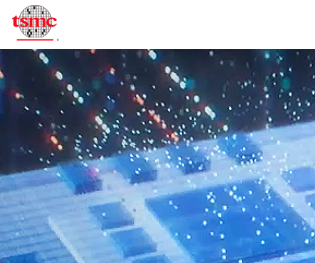 TSMC revenues for Feb 2025 was approximately NT$260.01 billion down  11.3 percent from January 2025