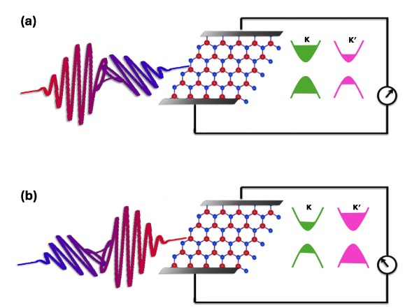 IIT Bombay Researchers Demonstrate Ultrafast Valley Switching in 2D Semiconductors Using Single Linearly Polarized Pulse