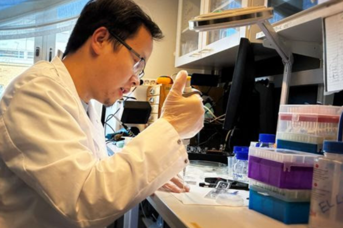 A Simpler Way to Manufacture Biosensors, "Like Pulling Up a Tree Stump with Rope