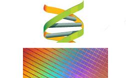 dna chip