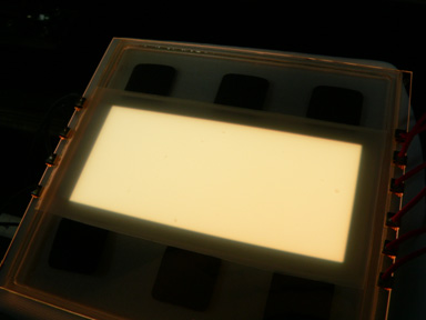 organic light led