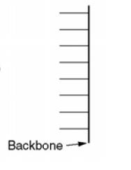 spine topology