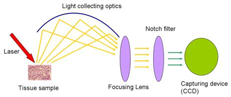 raman spectroscopy3